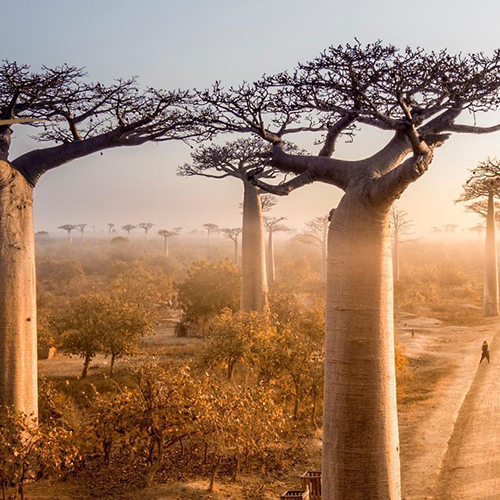 Madagaskar Mauritius > 9-18 Haziran 2027